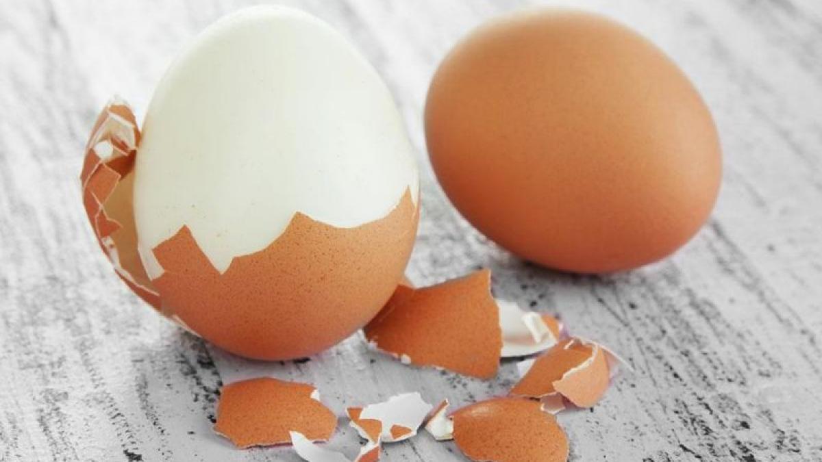 ce ti se intampla in corp cand mananci un ou pe zi sigur nu stiai asta