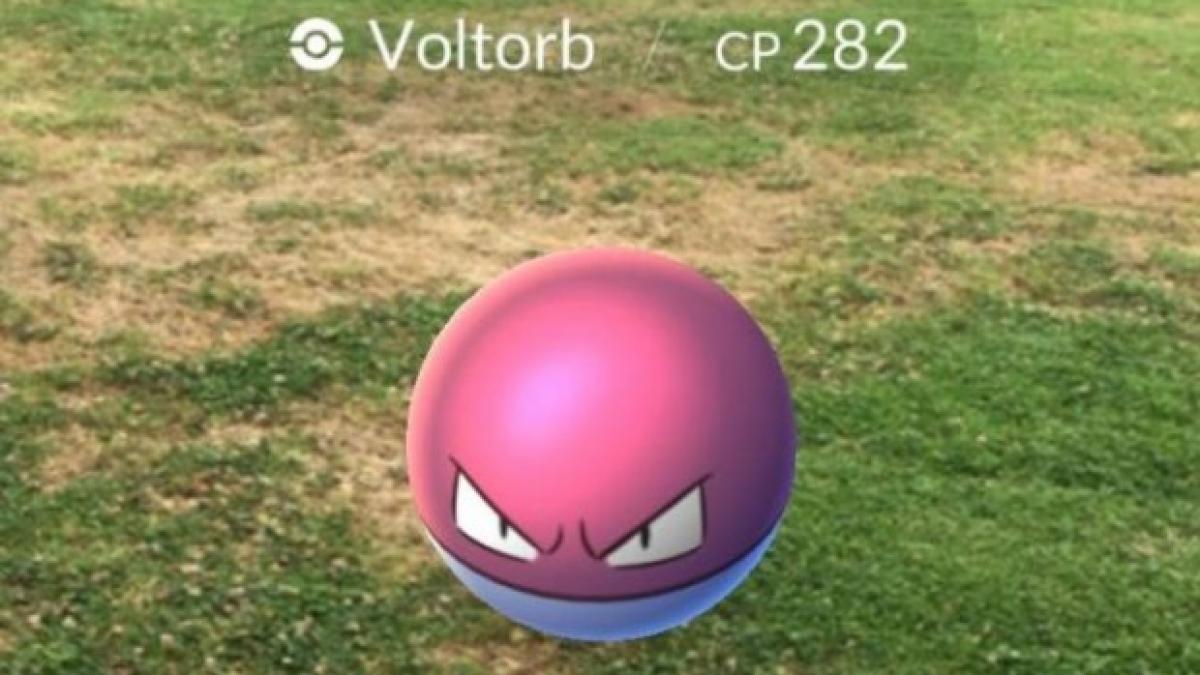 pokemon go pornografie internet fenomen