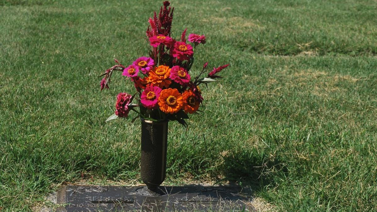 descoperire istorica a oamenilor de stiinta ce se intampla dupa ce murim