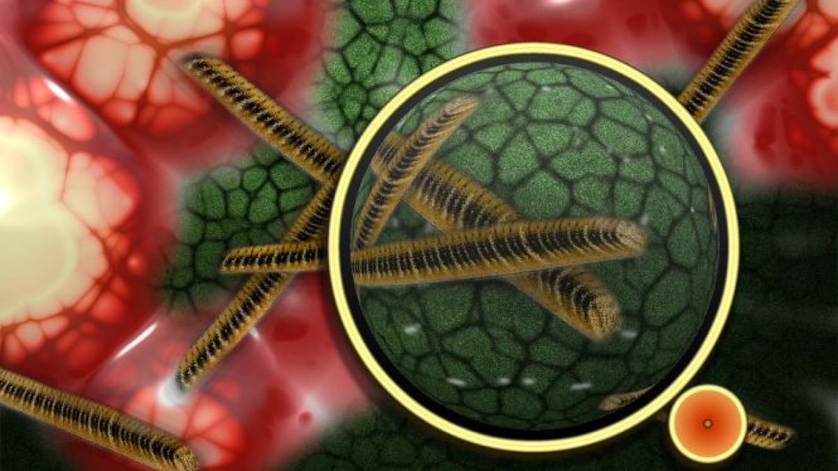 10 factori care cauzeaza cancer