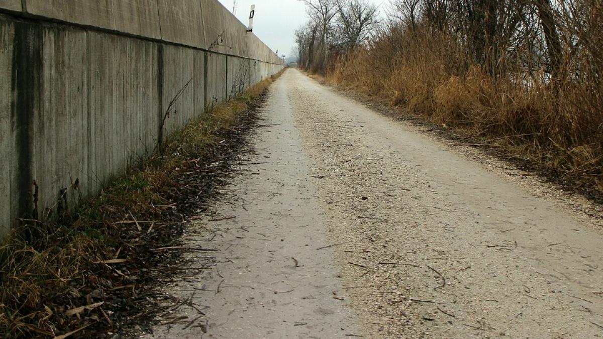 gest incredibil al unui viceprimar din romania ce a putut sa faca doar ca sa isi pastreze functia