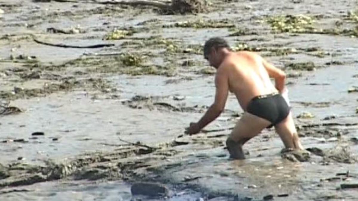 raul jiu targu jiu jiu hidroelectrica