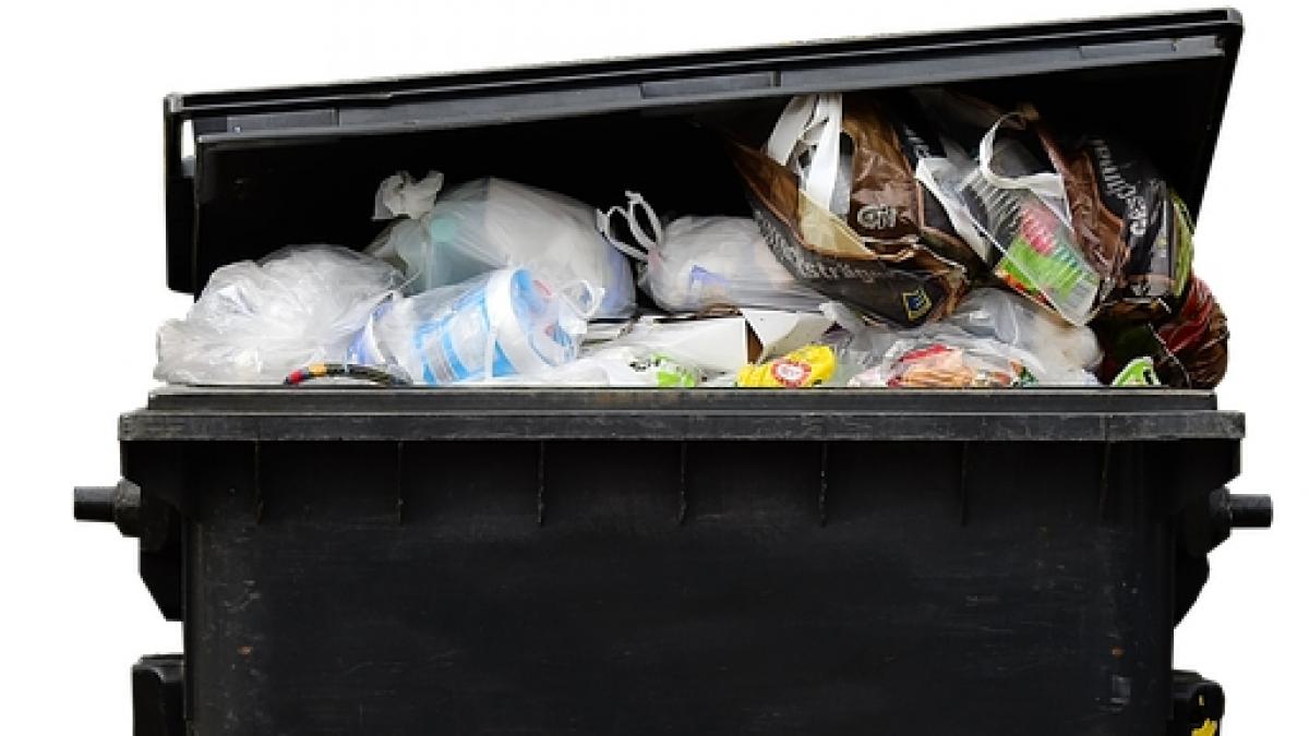 americanii arunca jumatate din mancare motivul incredibil pentru care fac asta