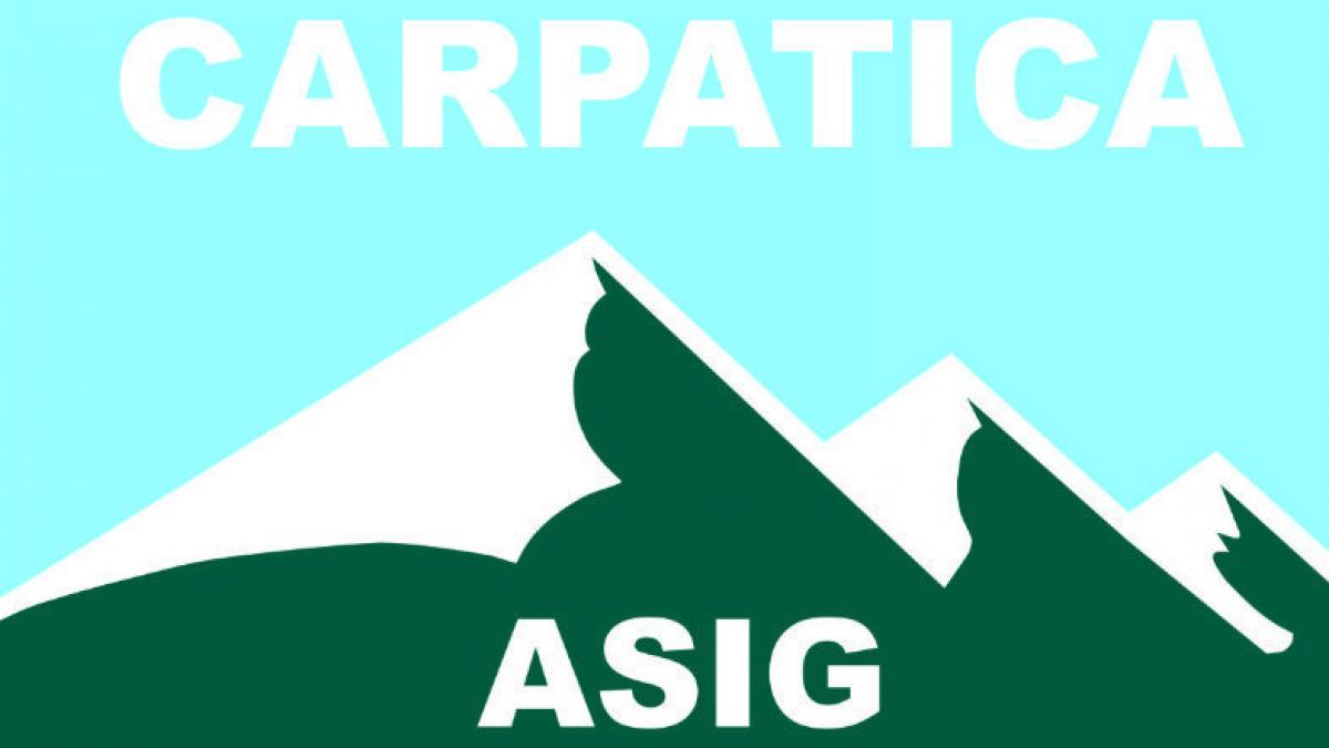 misu negritoiu sansele de salvare a societatii carpatica asig sunt foarte mici