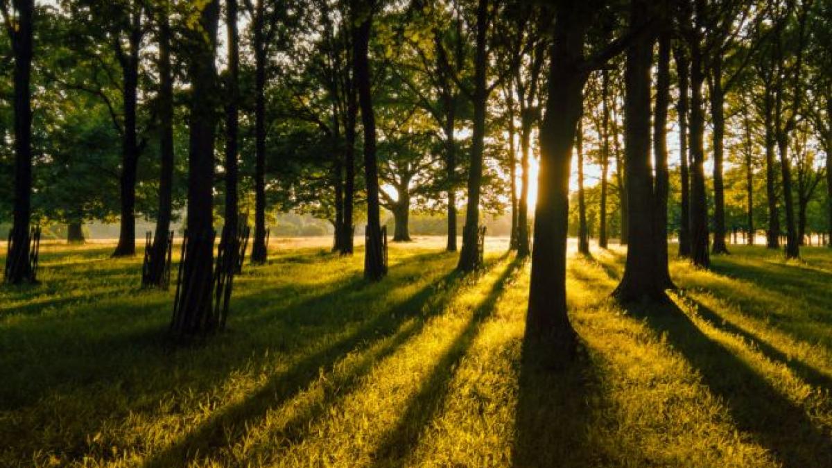 vremea prognoza meteo temperaturi