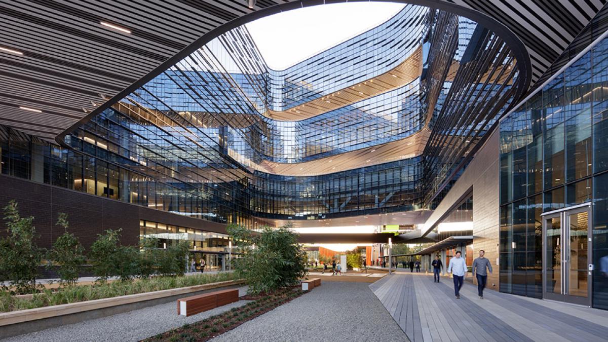 directorul uneia dintre cele mai mari companii de pe glob implicat intr un scandal sexual