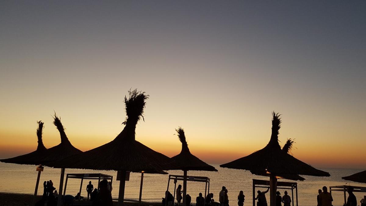 situatie disperata in vama veche hotii fac ravagii