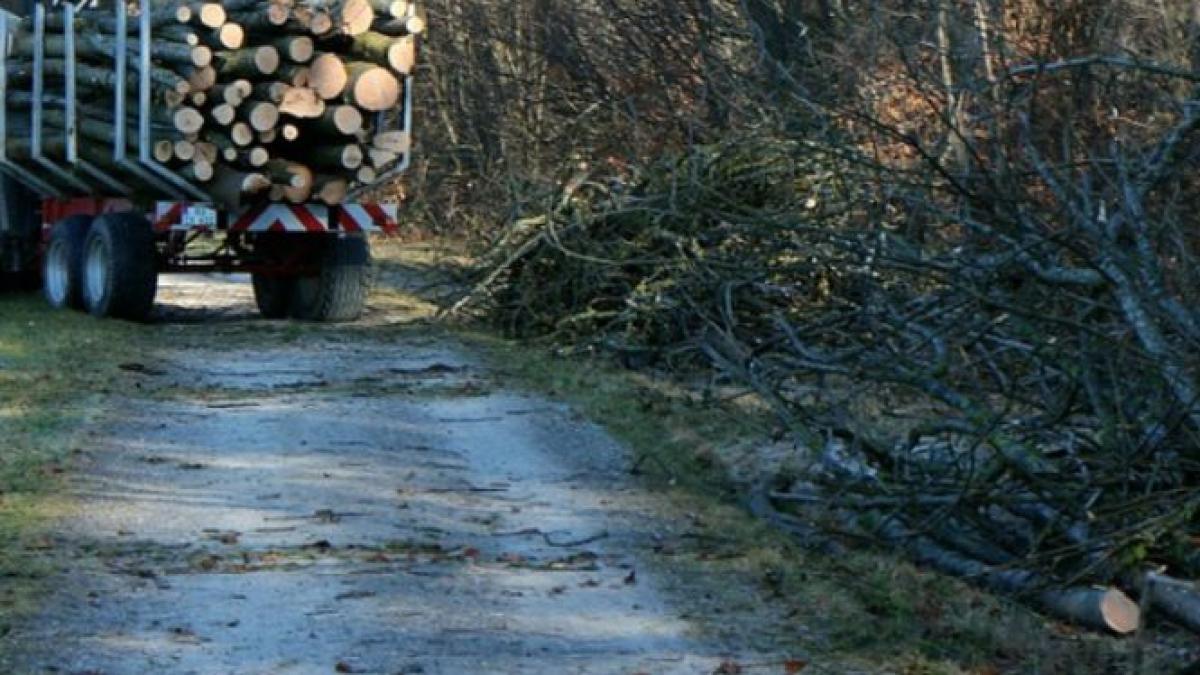 aplicatia prin care poti face o fapta buna suna imediat la 112 daca vezi asta