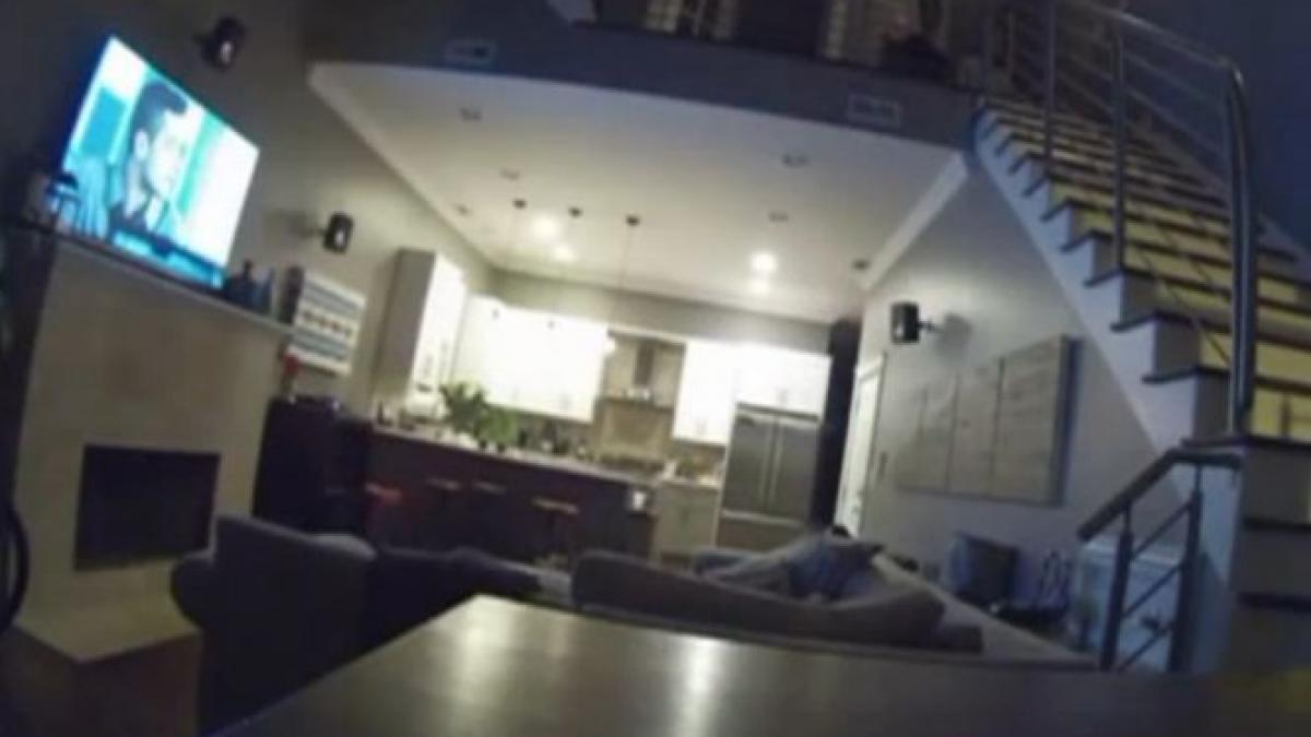 au adormit cu televizorul aprins si cu cei doi caini langa ei cand s au trezit dimineata au facut o