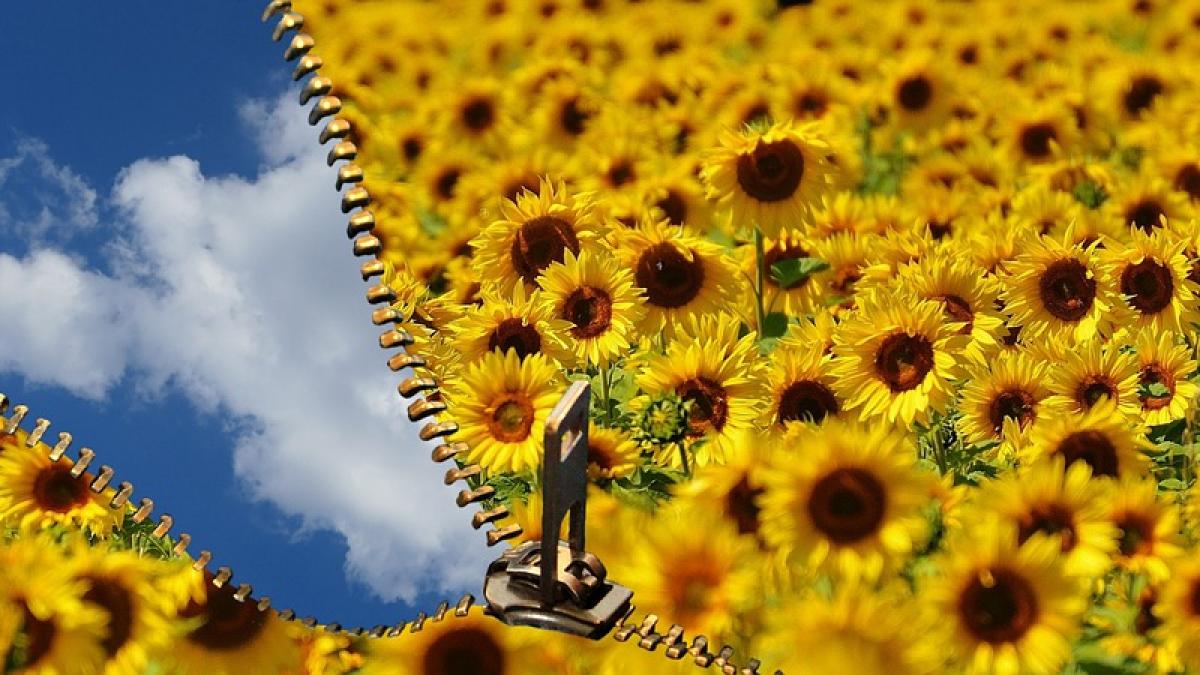 prognoza meteo cum va fi vremea marti