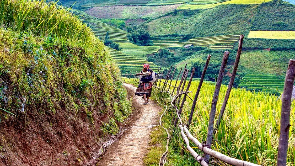 un sat unic in romania are propriul imn