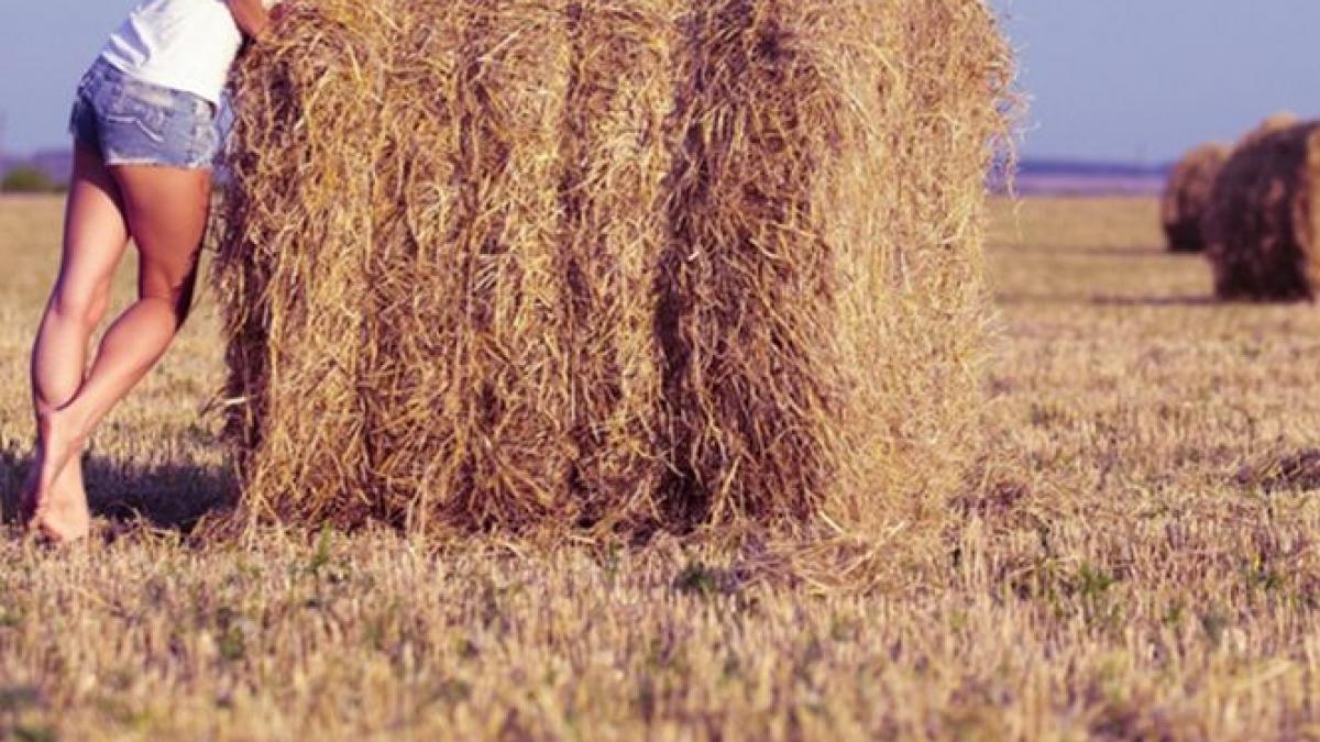 au mers la pensiune si s au cazat au fost socati cand au vazut ce cuprindea de fapt oferta