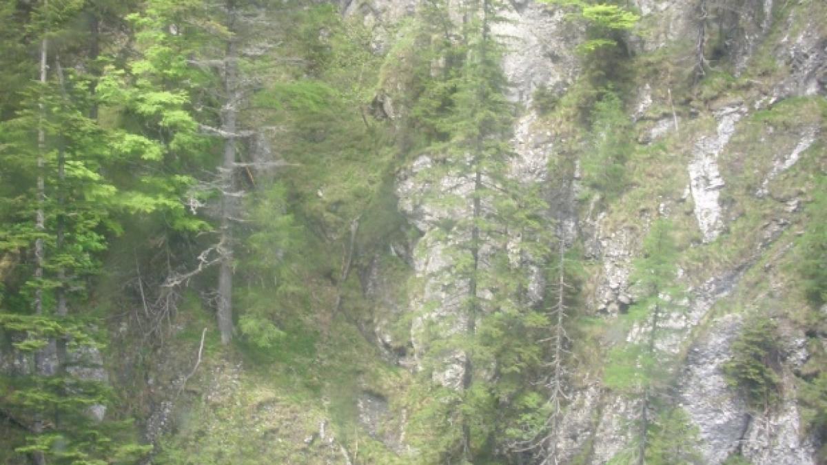 barbat dat disparut gasit mort intr o zona montana