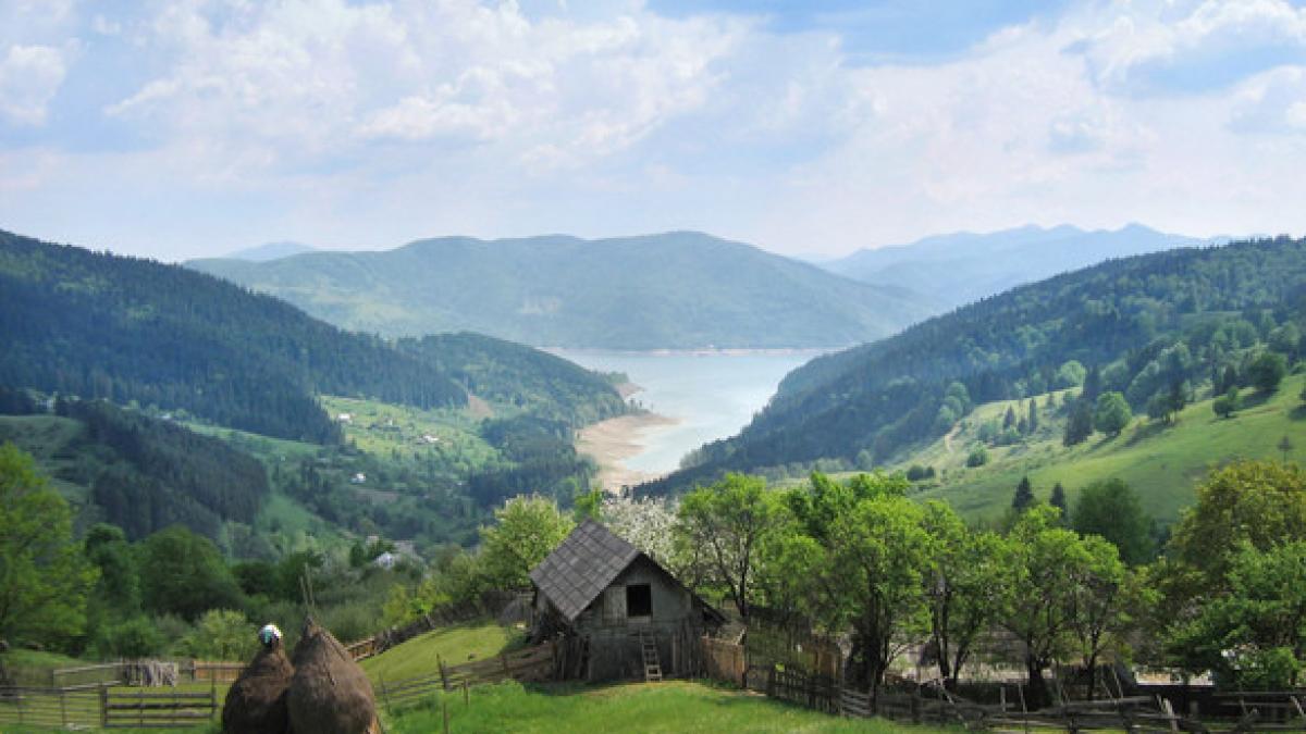 vorbiti ardeleneasca nu atunci e musai sa aflati asta