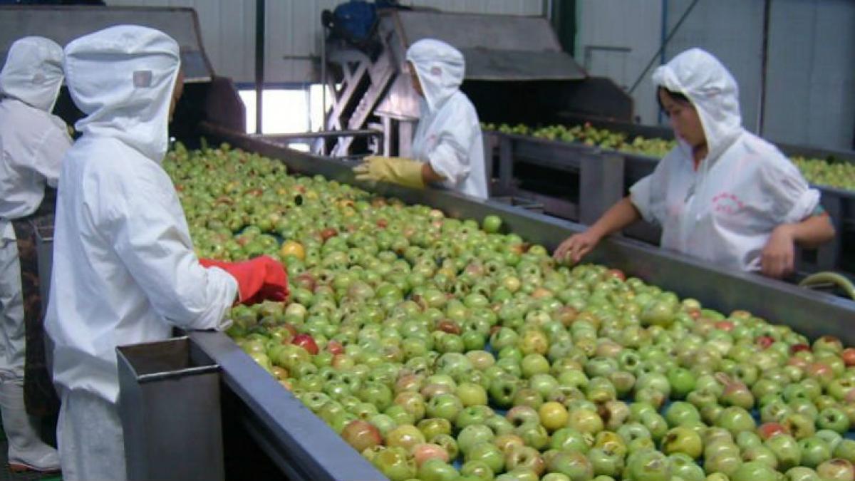atentie mare alimentele astea contin plastic pesticide si chimicale care cauzeaza cancer si tu le
