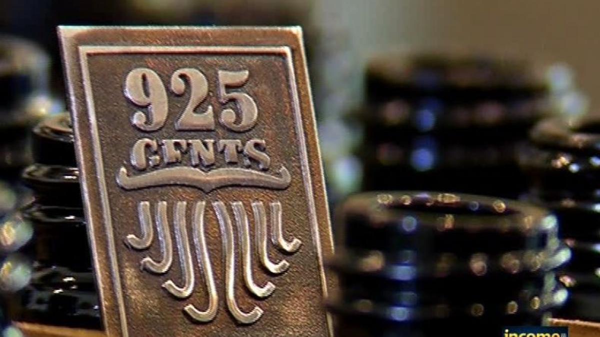 business voinea tudoran 925gents income