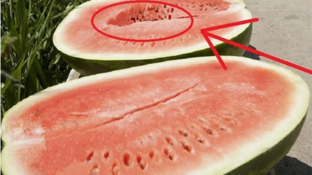 atentie mare de ce sa nu mai cumperi pepeni care arata asa