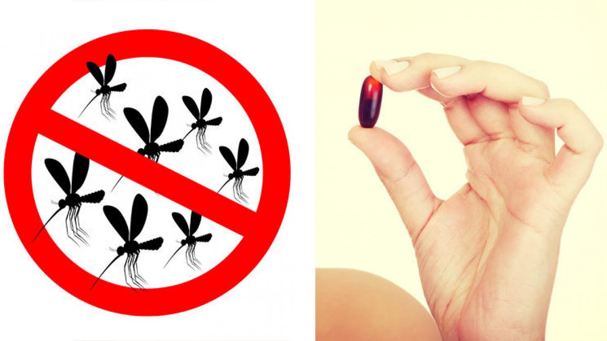 asta e vitamina care te scapa de tantari intreaga vara se ia zilnic