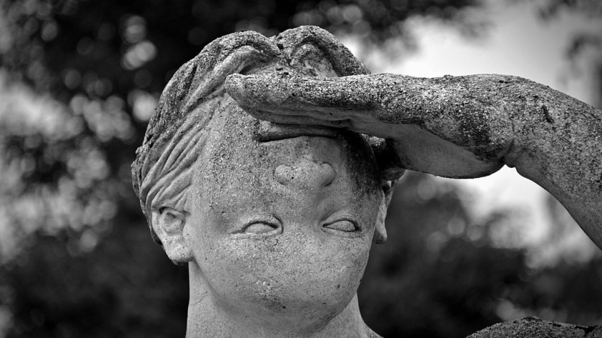 interlop cu statuie in timisoara