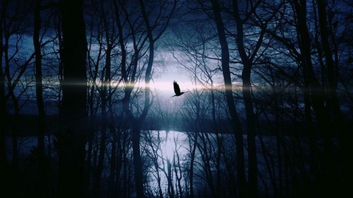 temperaturi de iarna in mijlocul verii la sibiu sunt 2 9 grade