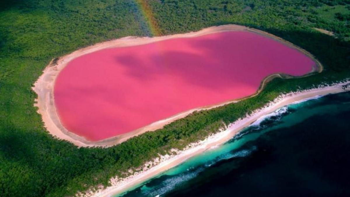 misterul lagunei roz unul dintre cele mai frumoase locuri de pe pamant