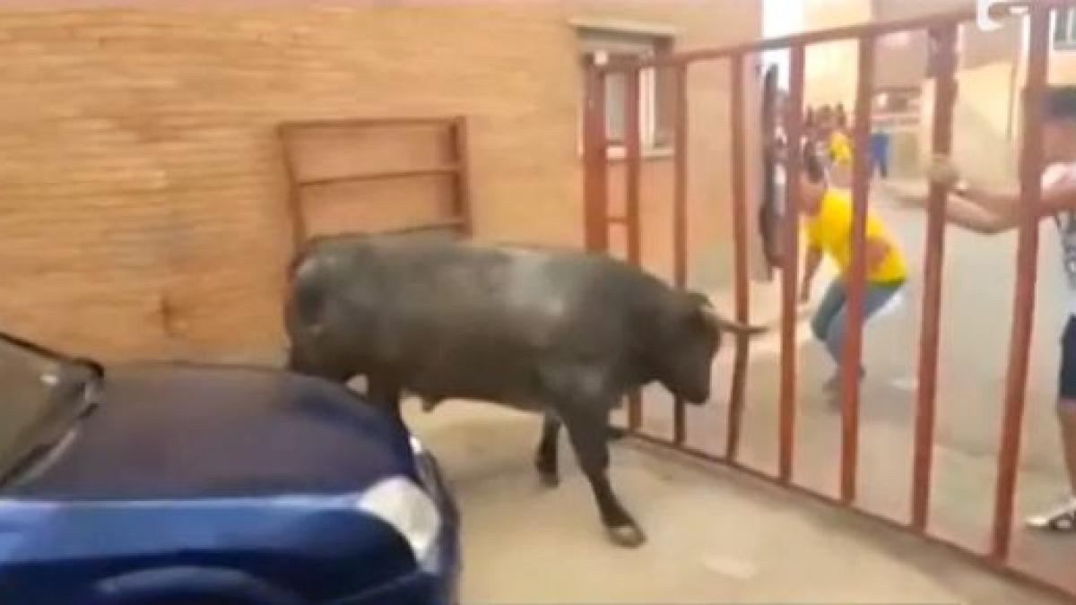 o fetita romanca a fost ranita dupa ce a fost atacata de un taur in spania