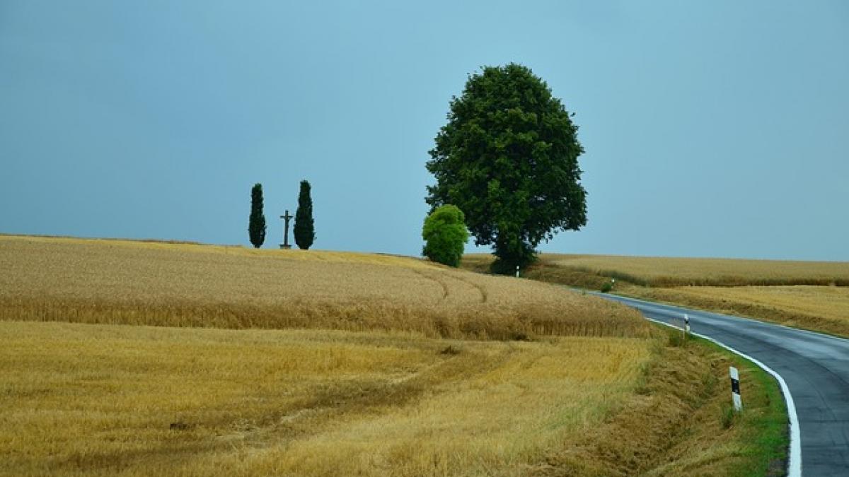 lovitura pe care o primesc cei care si au pierdut persoane dragi in accidente rutiere