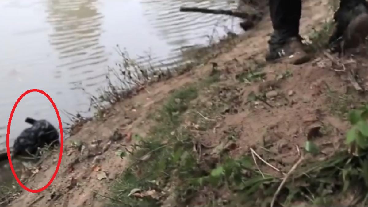 a vazut o punga stranie pe malul raului ceea ce a gasit in ea i a schimbat viata video