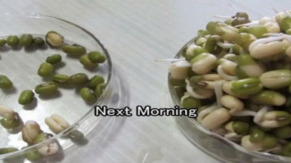 dupa ce vei vedea acest experiment nu vei mai dormi niciodata cu telefonul langa pat