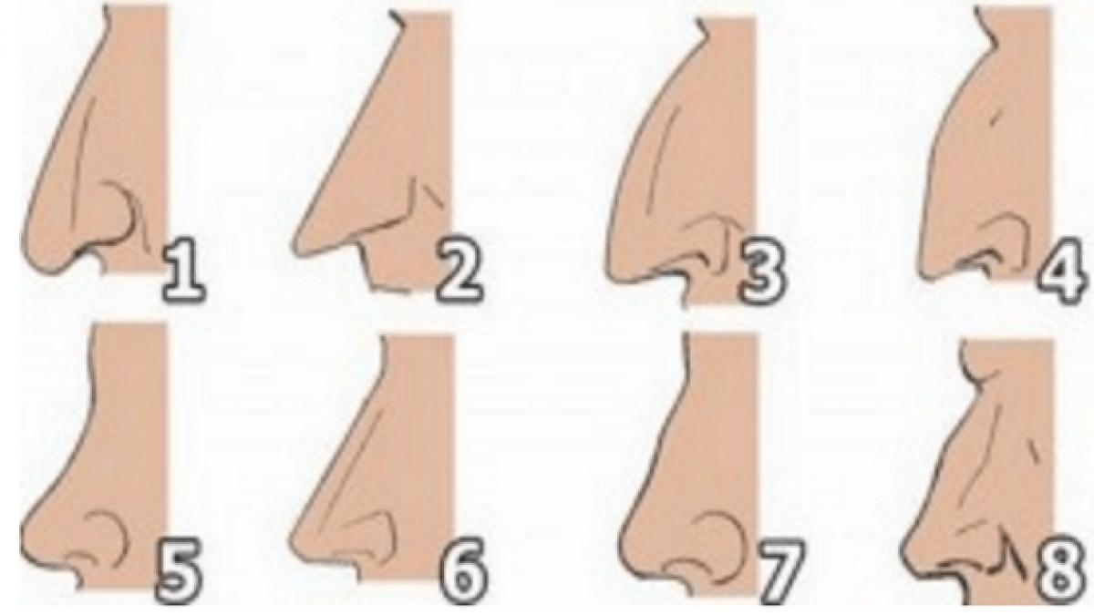 forma nasului tau iti spune totul despre personalitatea ta