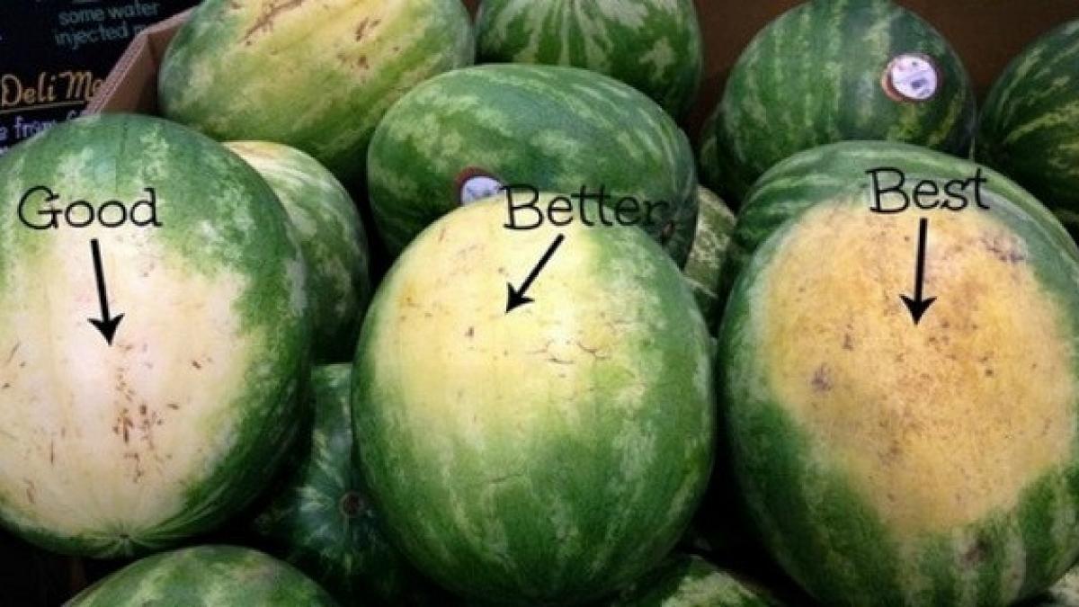 invata sa alegi cel mai dulce pepene verde incearca aceste trucuri