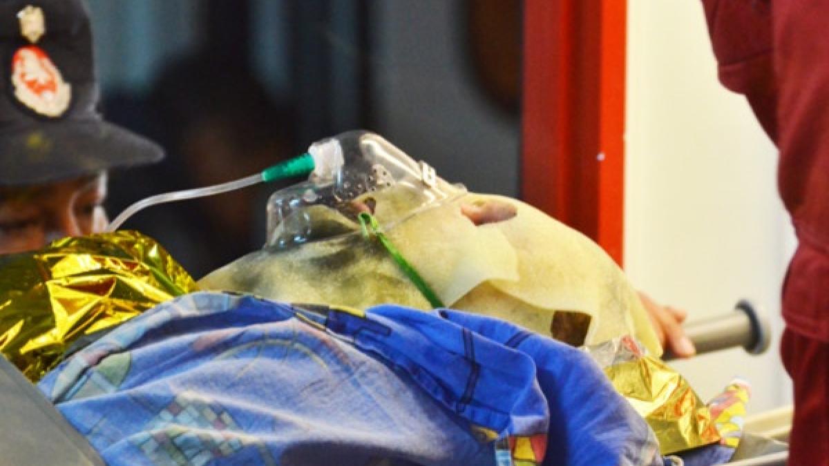 ranitii de la petromidia adusi la bucuresti care este starea lor