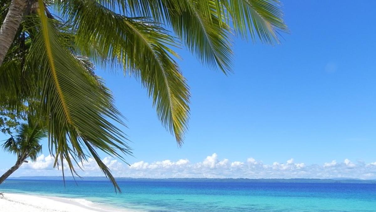 zece ani a stat sub pat cu o perla care valora 100 de milioane de dolari ce a facut cand a aflat ce