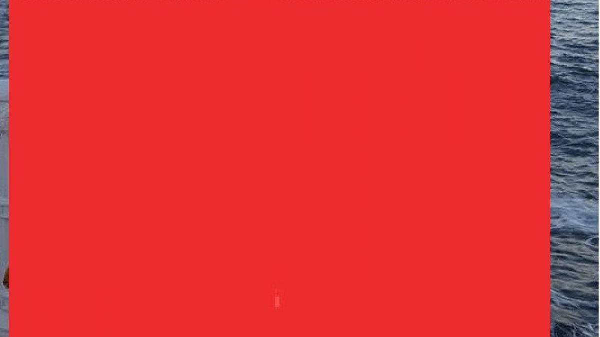 a aparut asa pe o plaja din romania trecatorilor nu le a venit sa creada ca e chiar ea