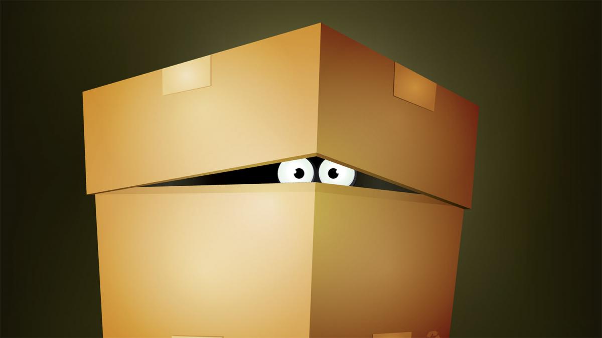 tu ce ai de ascuns trucul care iti arata cum maschezi orice informatie intr o poza banala