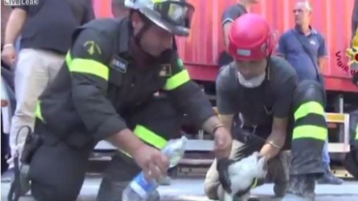 a supravietuit timp de sase zile in ruinele de la amatrice inainte de a fi salvata video