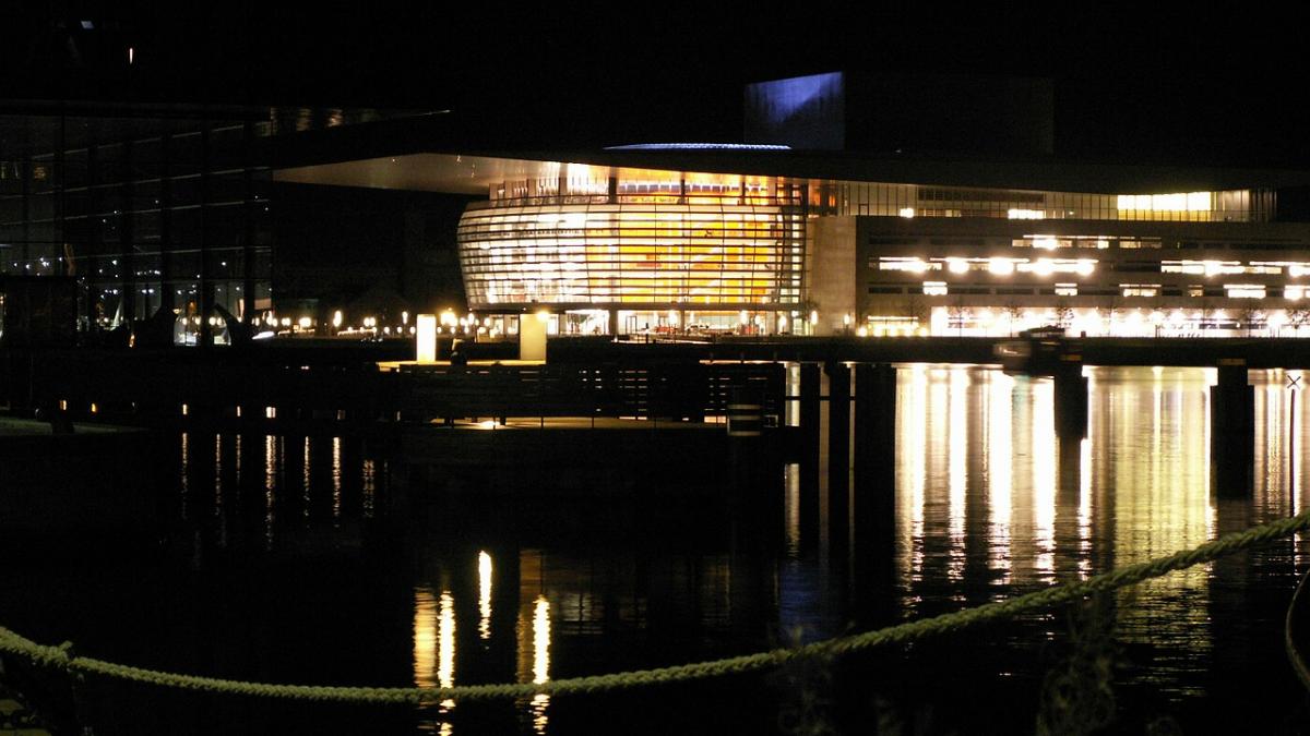 atac armat danemarca politie individ