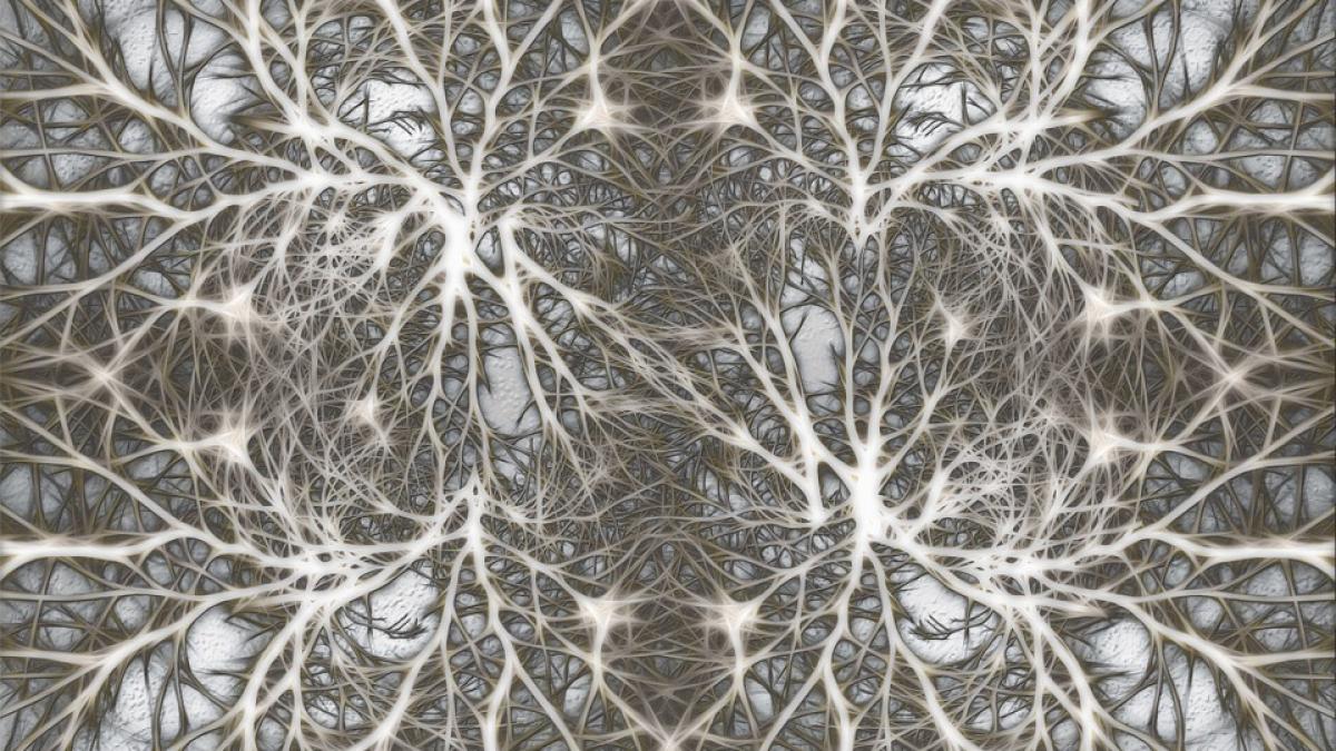 descoperire epocala in lupta cu boala alzheimer medicamentul care poate schimba totul