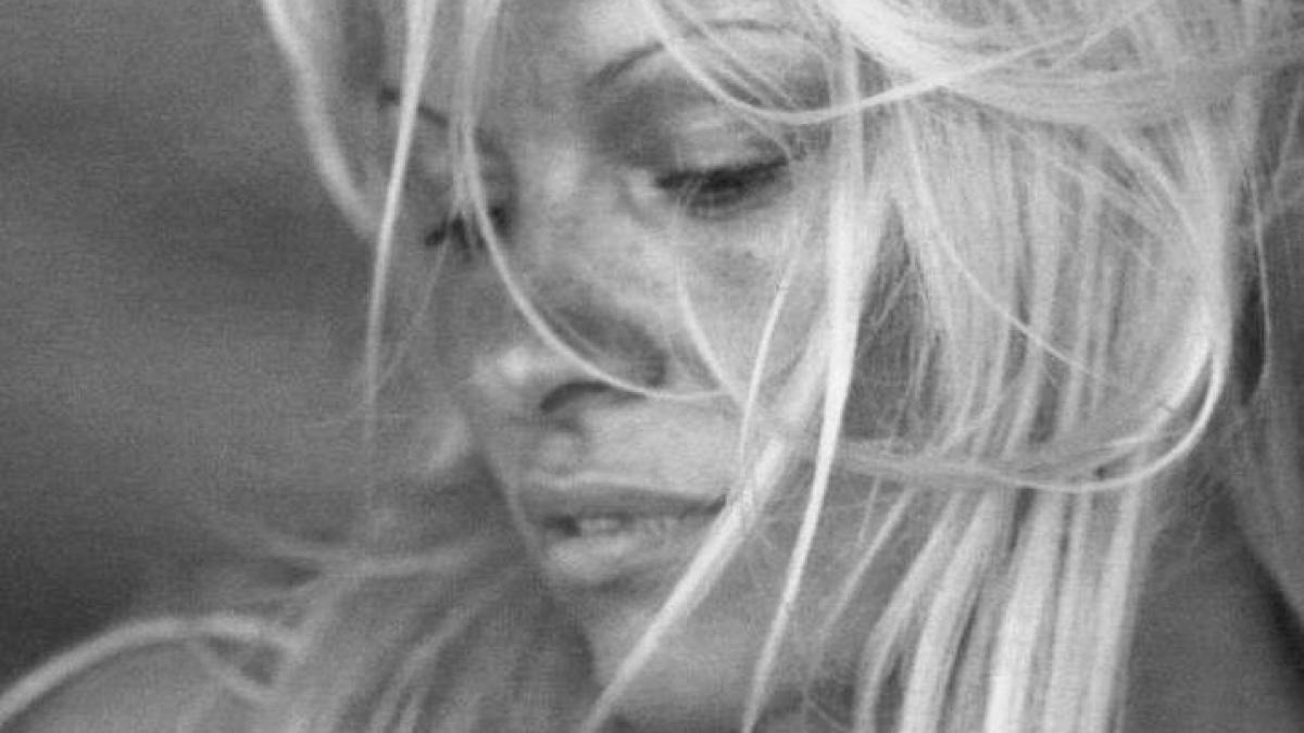 pamela anderson pornografie fraieri editorial