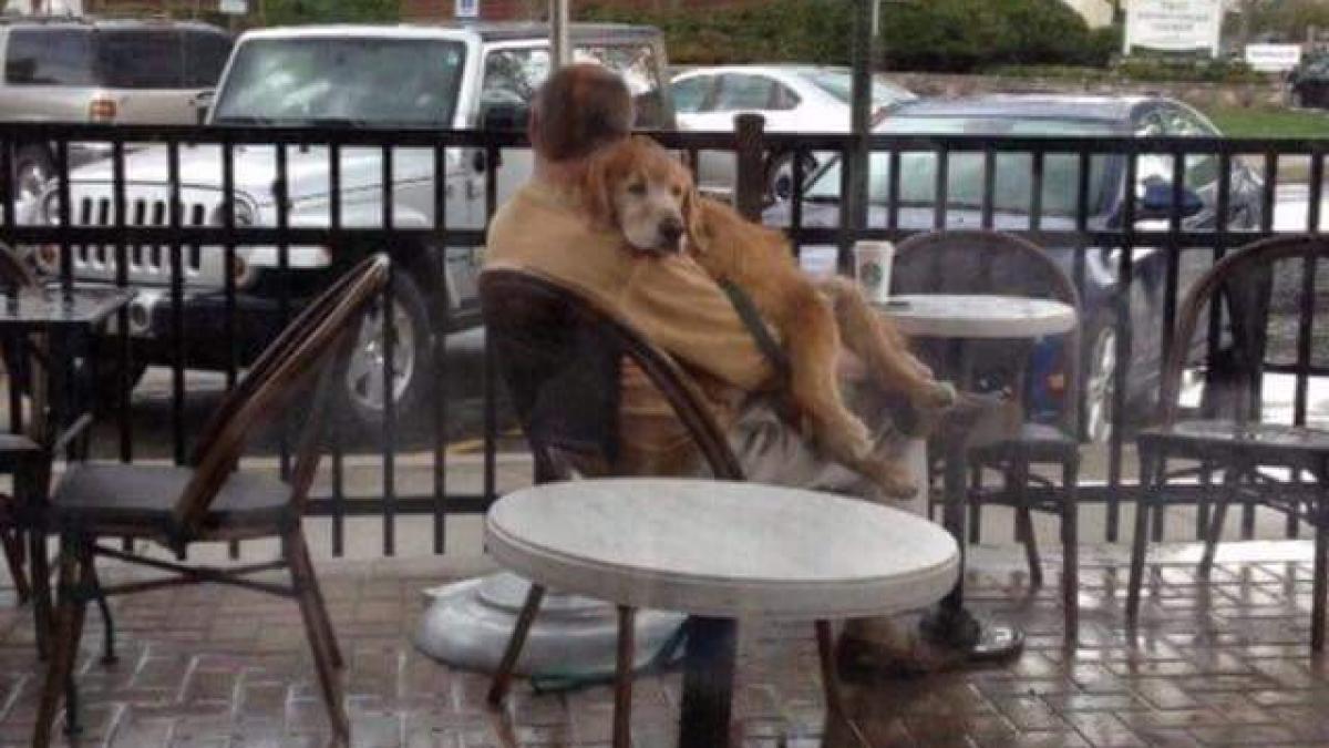 rolurile s au inversat cand omul devine cel mai bun prieten al cainelui