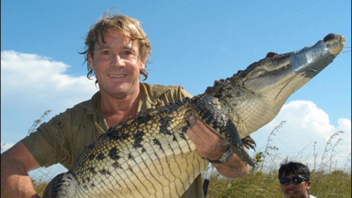 scrisoarea lui steve irwin catre parintii sai ce le a scris inainte sa moara