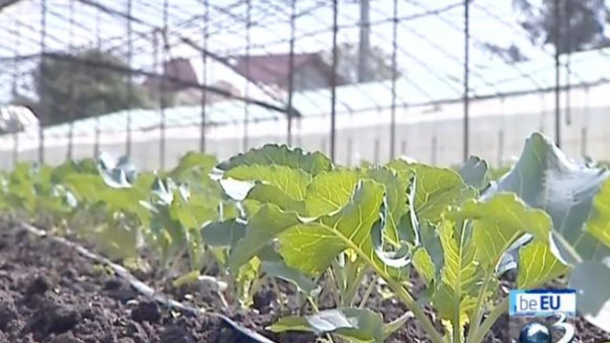 be eu unde mai gasim gustul autentic romanesc