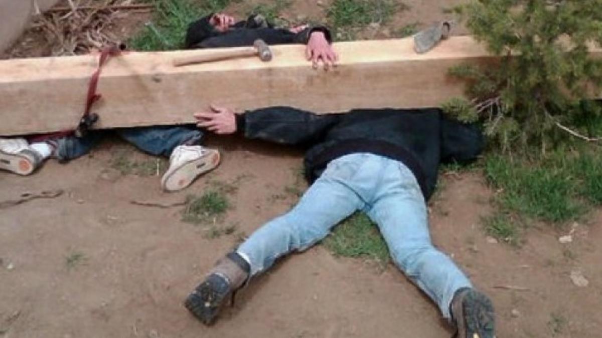 si a vazut copiii striviti de o barna de lemn i a fotografiat apoi a facut asta