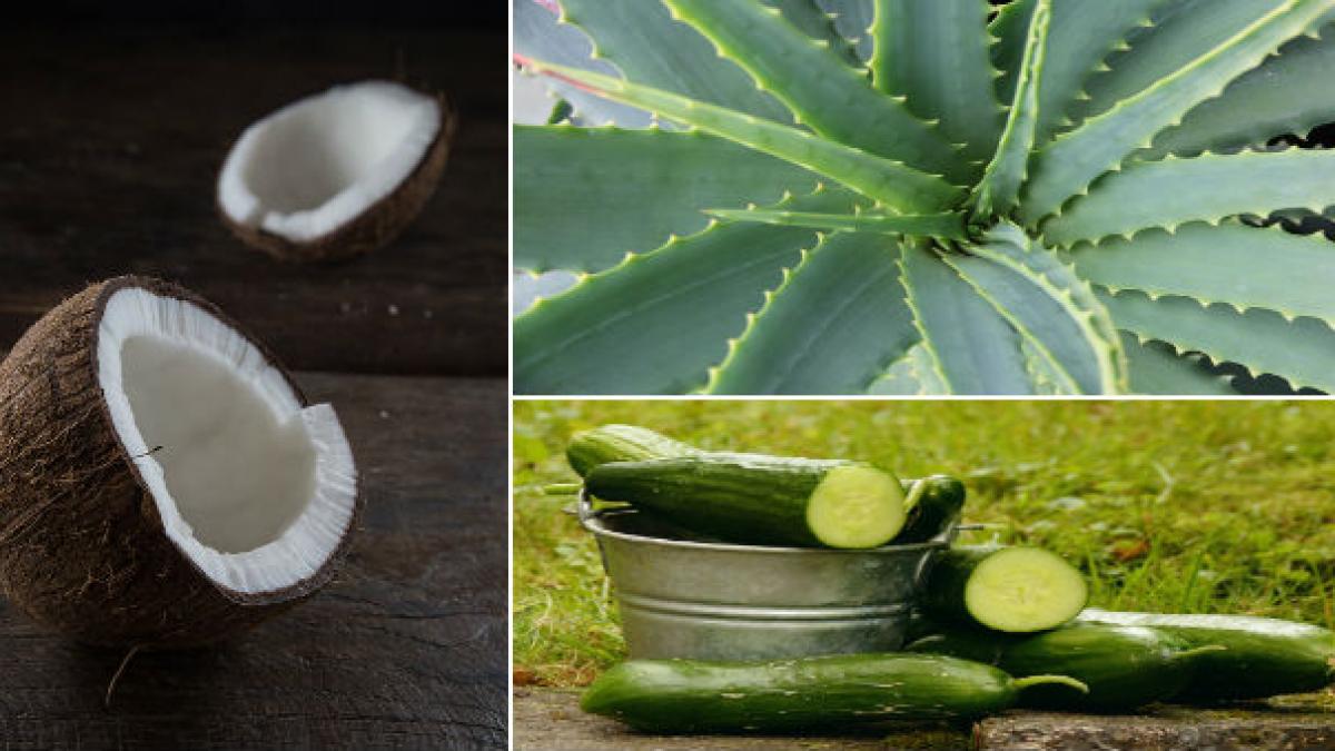 mai bun decat orice medicament ai si tu asa ceva in casa este ieftin si poate rezolva probleme