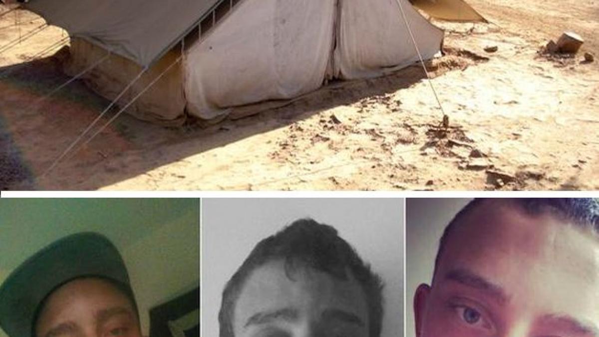 au vazut un cort in padure si s au apropiat de el cand l au deschis au avut parte de un soc nu este