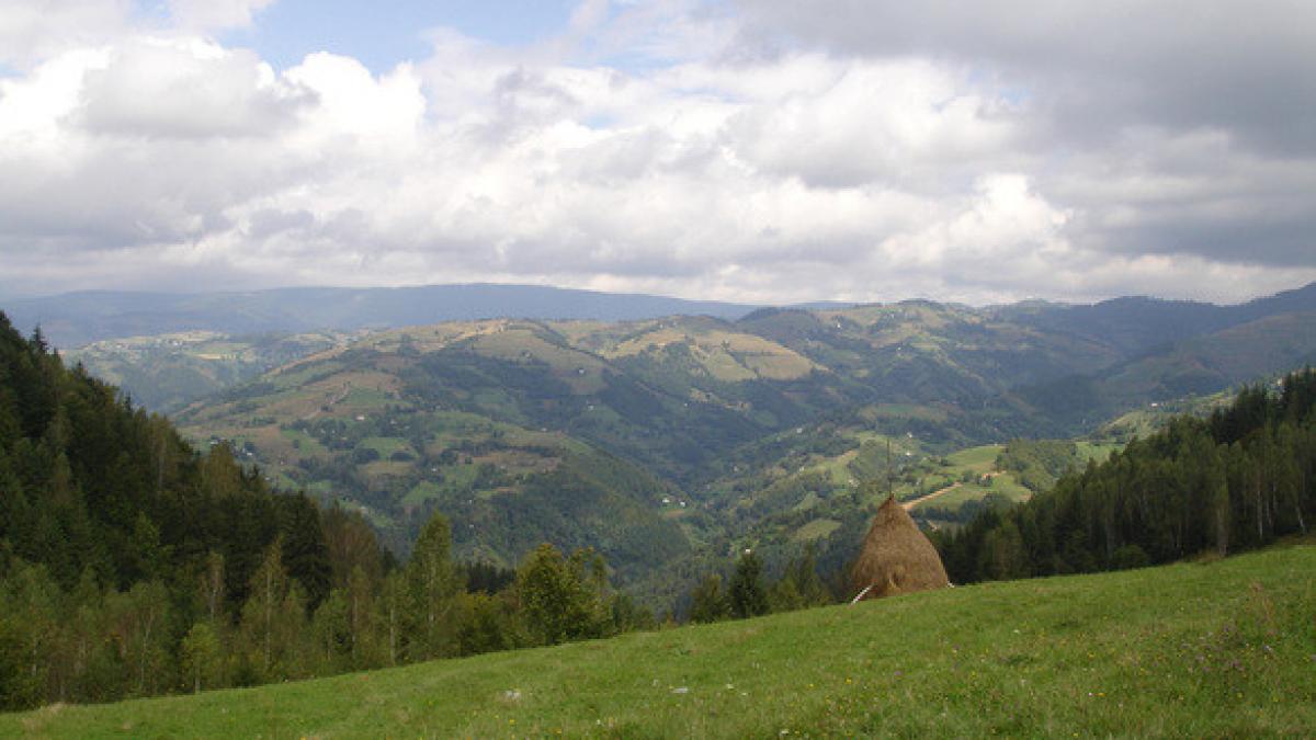 mesajul unei romance din italia da sunt romanca n am de ce sa las capul jos romania nu inseamna
