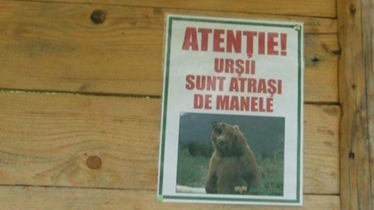 deziluzia optica murele si manelele e viata mea