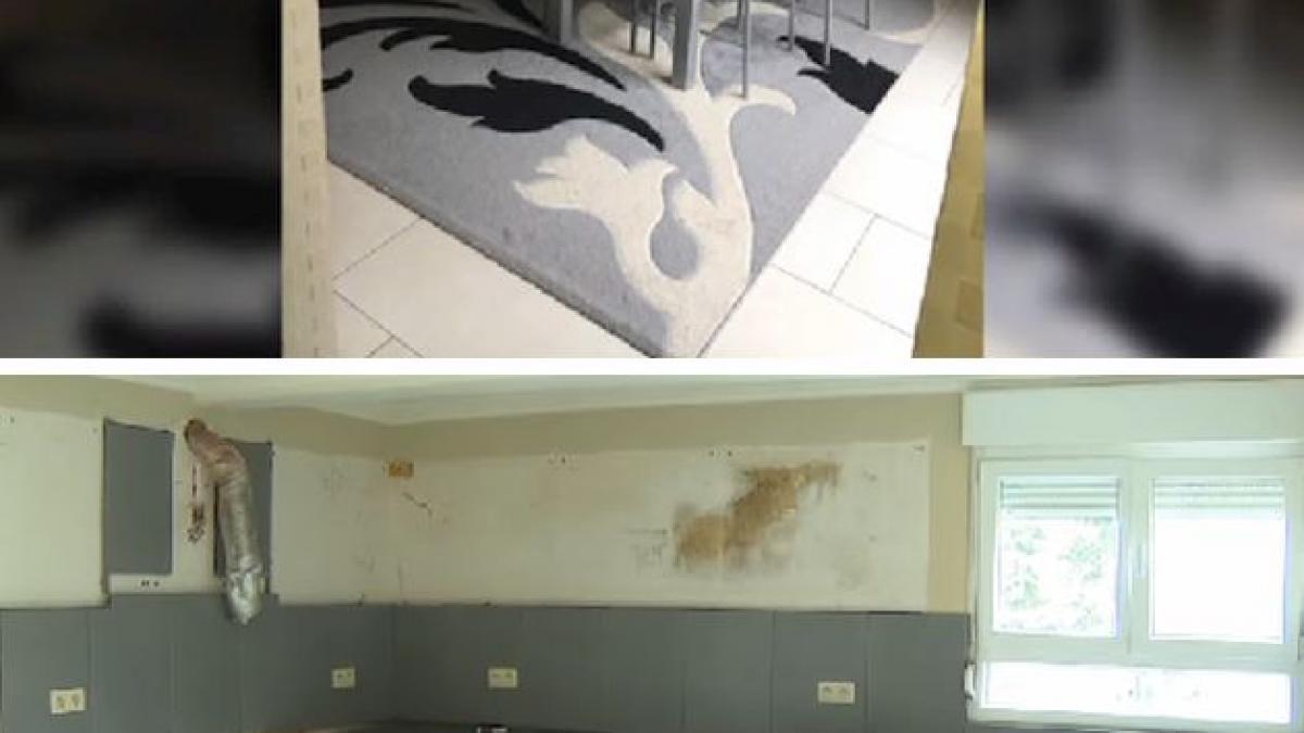 si au cumparat o casa cocheta cand au pasit pentru prima oara in ea au avut parte de un soc ce au