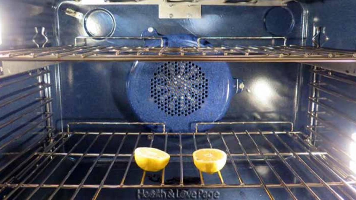 trucul asta iti face casa sa fie mereu parfumata si te scapa pentru totdeauna de muste