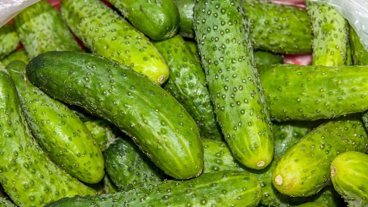 a mancat castraveti in fiecare si toata lumea a observat schimbarea uite ce s a intamplat